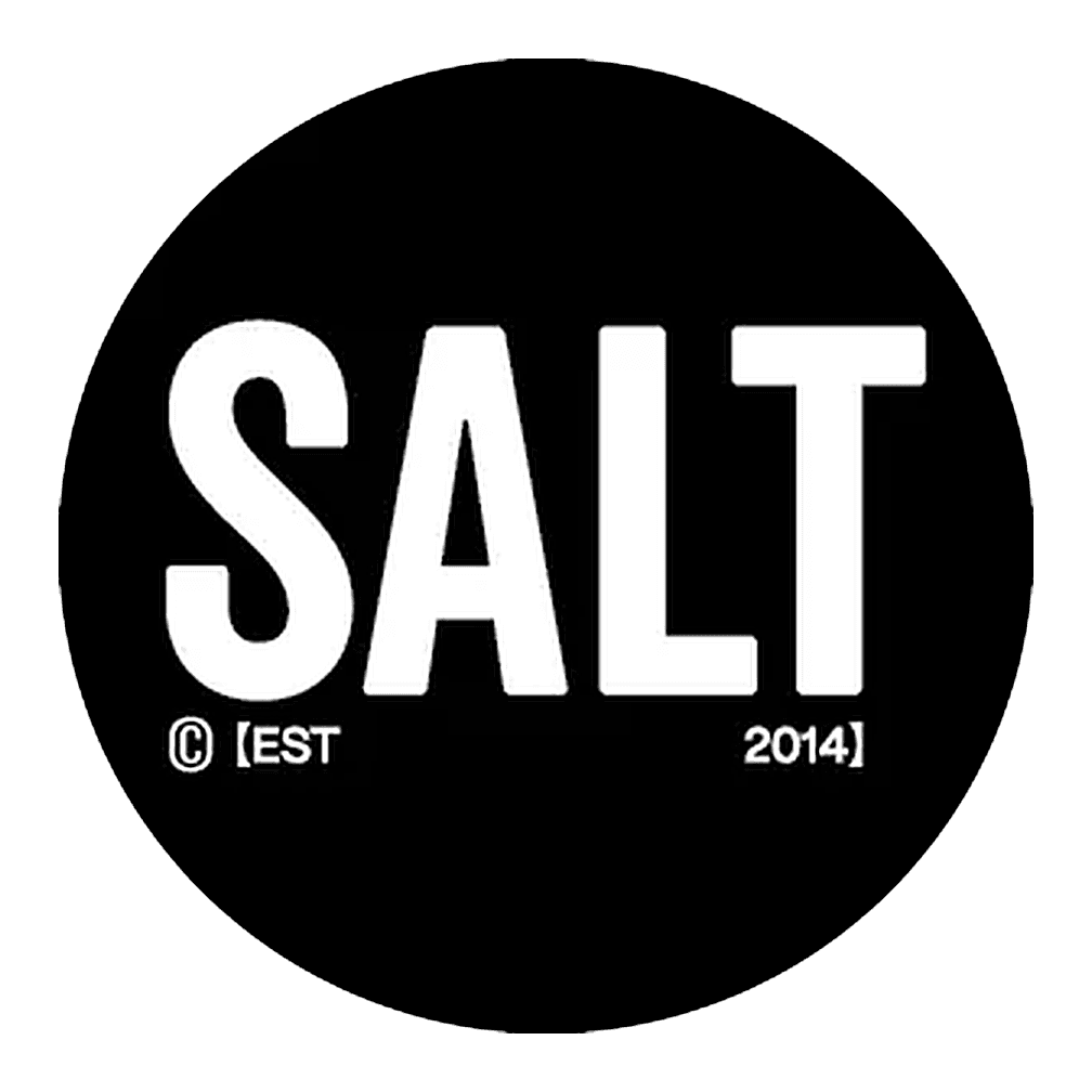 SALT логотип